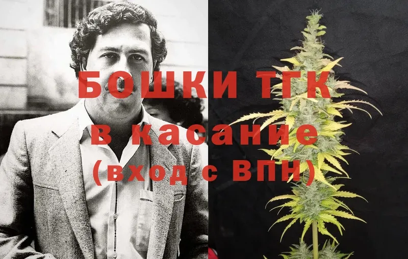 Конопля OG Kush  Игарка 